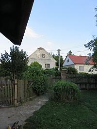 Třibřichy