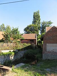 Třibřichy