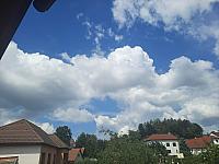 Olešná
