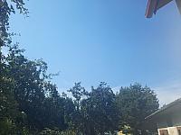 Olešná