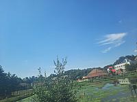 Olešná