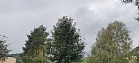 Holčovice