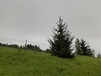 Skalité
