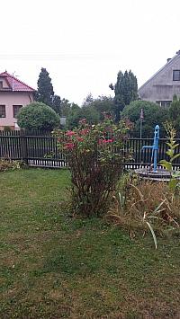 Třibřichy