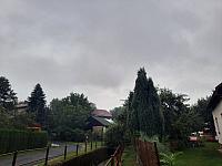 Olešná