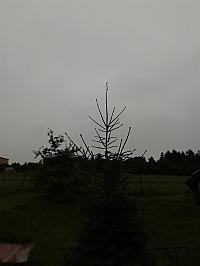 Skalité