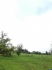 Skalité