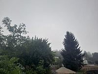 Olešná