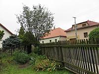 Třibřichy