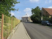 Třibřichy