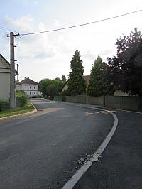 Třibřichy