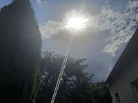 Olešná