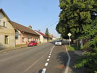 Třibřichy