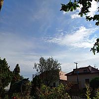 Třibřichy