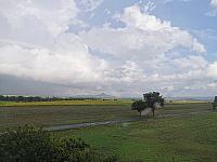 Libčeves