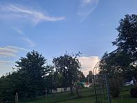 Olešná