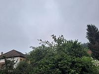 Olešná