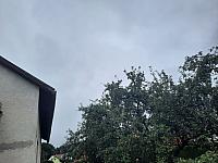 Olešná