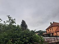 Olešná
