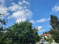 Olešná
