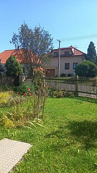 Třibřichy
