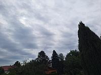 Olešná