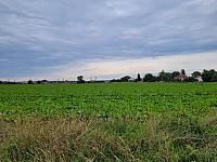 Císařov