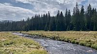 Modrava