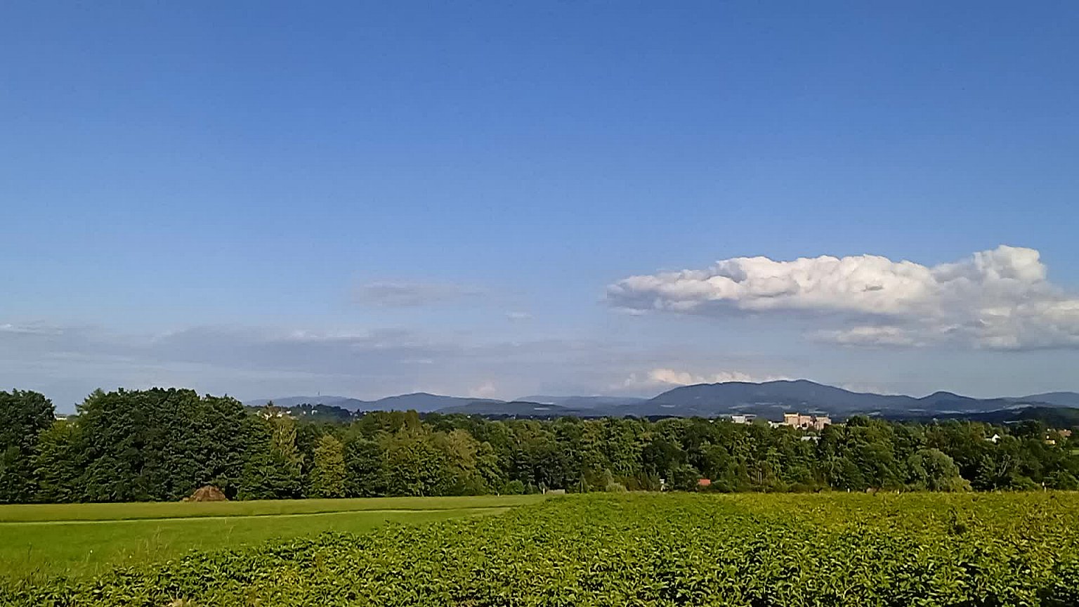 Český Těšín