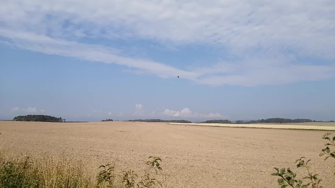 Hostákov
