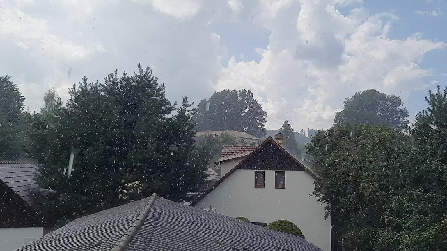 Olešná