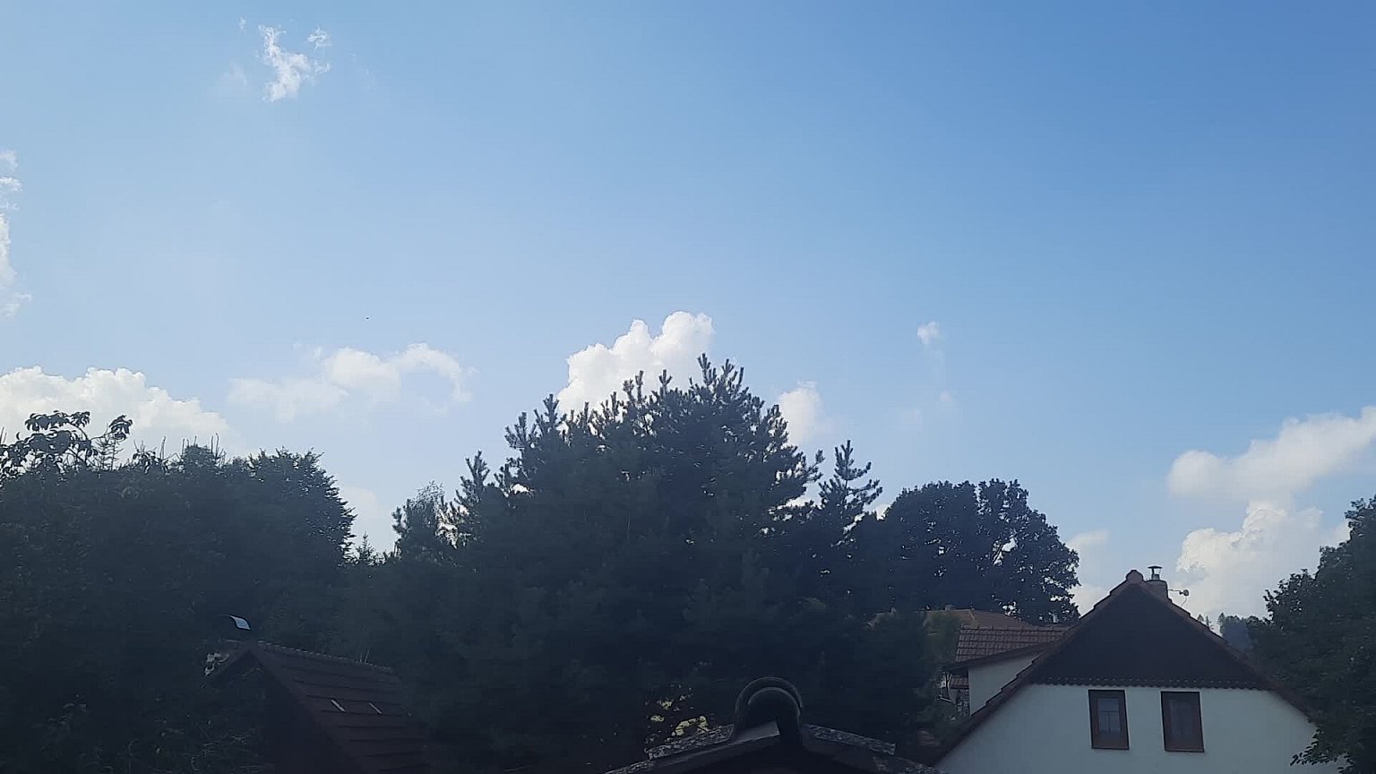 Olešná