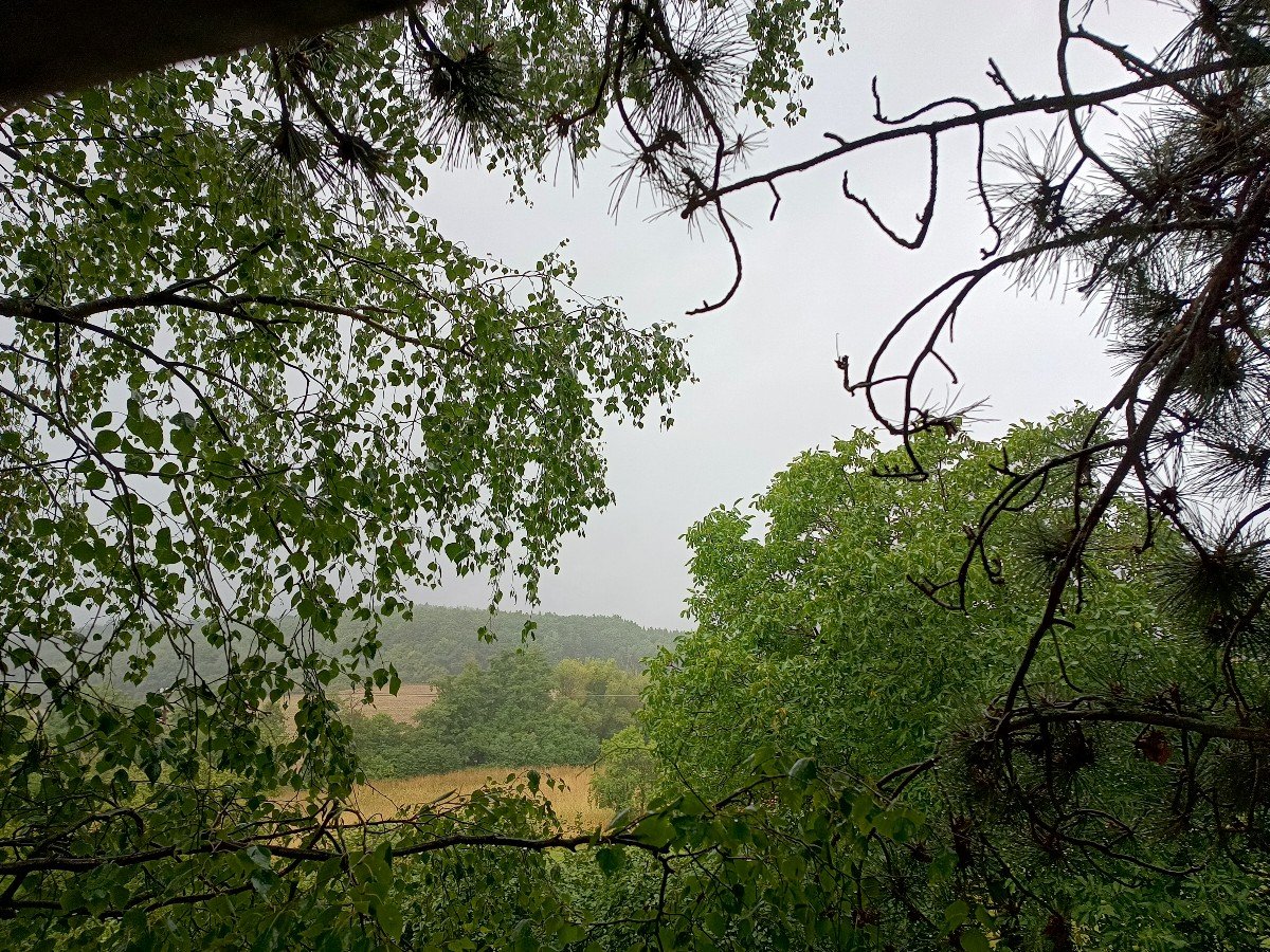 Habrovany