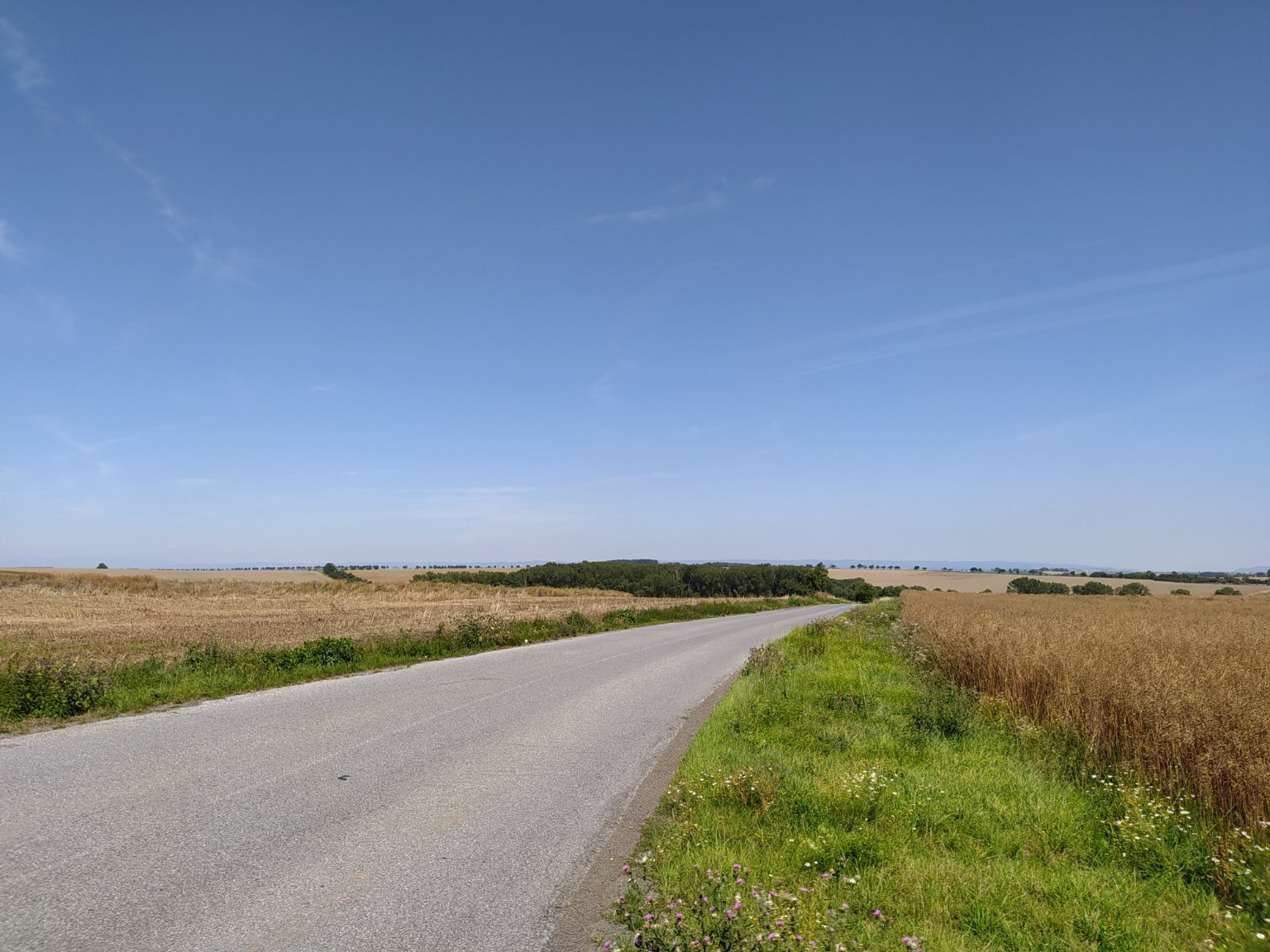 Dobromilice