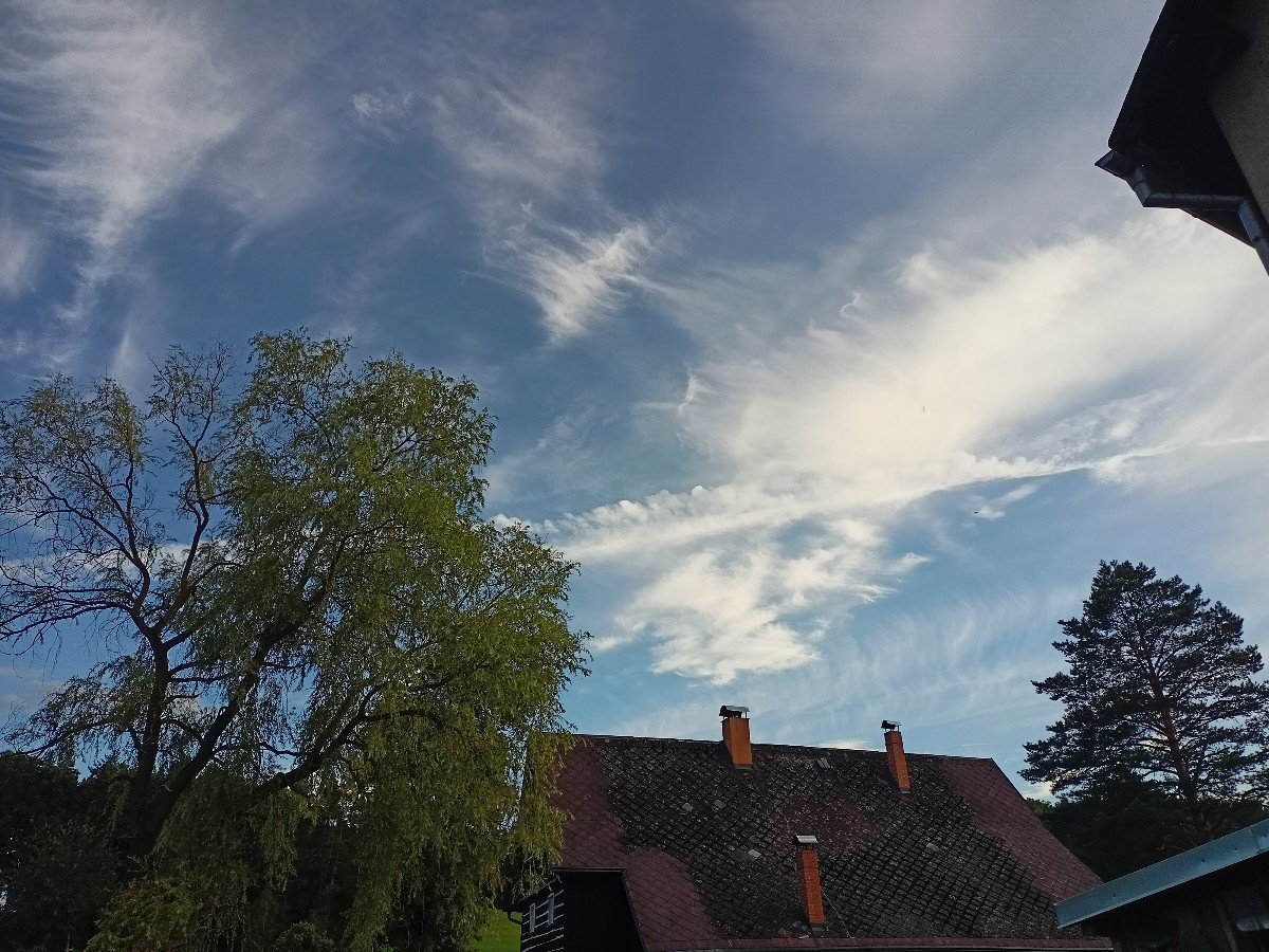 Mařenice