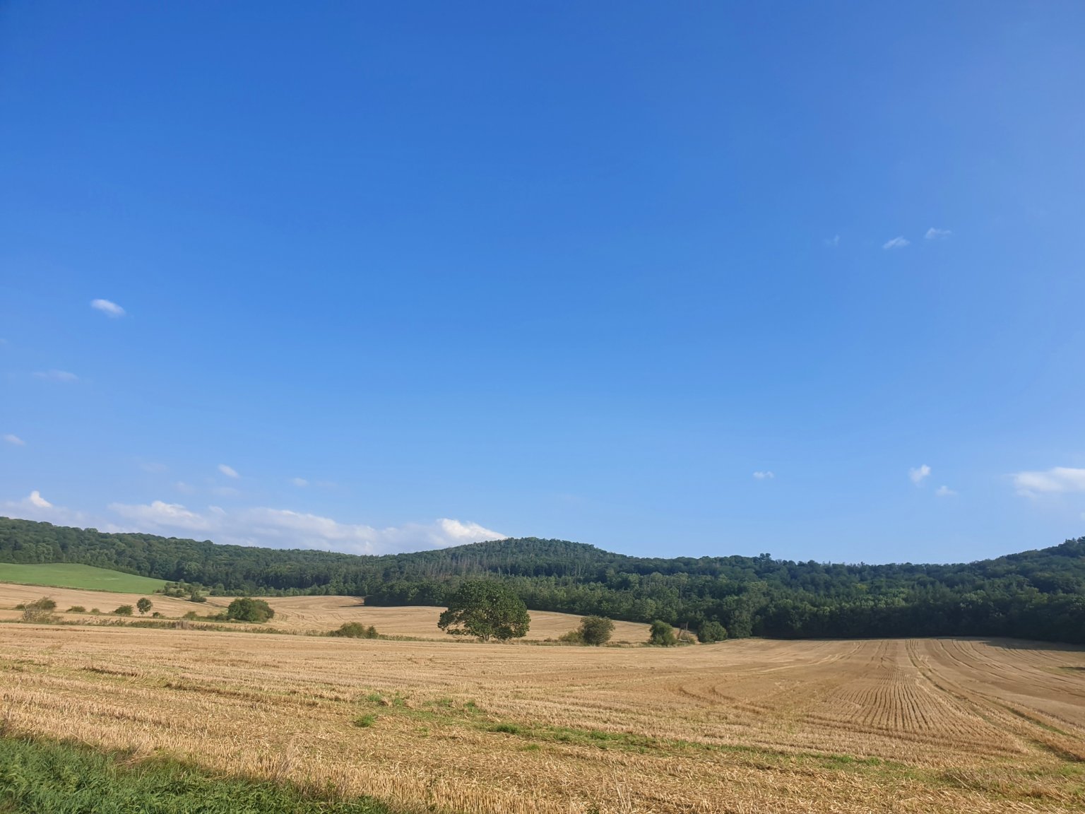 Lužice u Mostu 