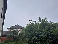 Olešná