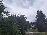 Olešná