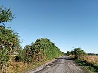 Lukovany