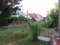 Třibřichy