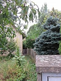 Třibřichy