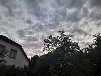 Olešná