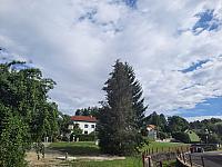 Olešná