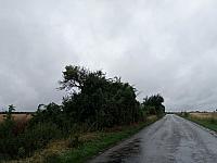 Lukovany