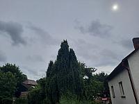 Olešná