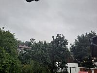 Olešná
