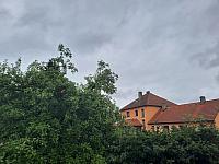 Olešná
