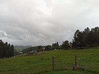 Hrčava