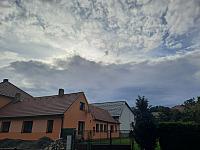 Olešná