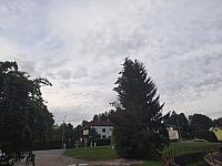 Olešná